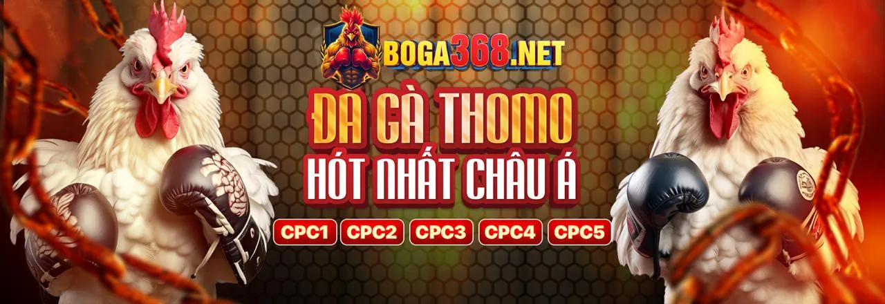 Nền tảng đá gà trực tuyến an toàn trum88 apk